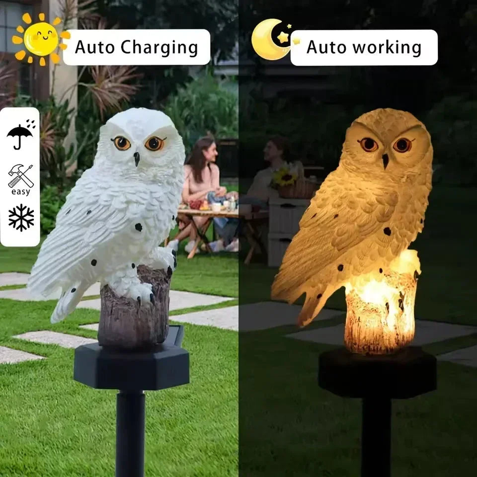 🦉Illumina il tuo vialetto da giardino oggi stesso! Lampada a energia solare a forma di gufo.