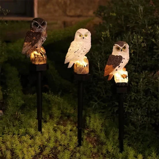 🦉Illumina il tuo vialetto da giardino oggi stesso! Lampada a energia solare a forma di gufo.