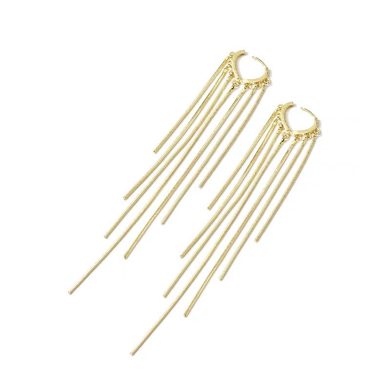 🔥Offerta a tempo limitato: 50% di sconto✨Orecchini lunghi con nappe placcati in oro 14 carati per donna